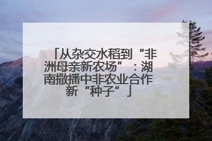从杂交水稻到“非洲母亲新农场”：湖南撒播中非农业合作新“种子”