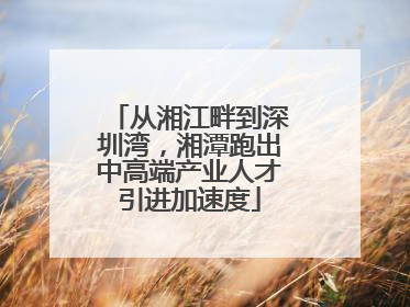 从湘江畔到深圳湾，湘潭跑出中高端产业人才引进加速度
