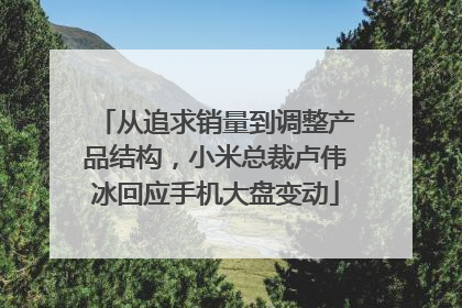 从追求销量到调整产品结构，小米总裁卢伟冰回应手机大盘变动