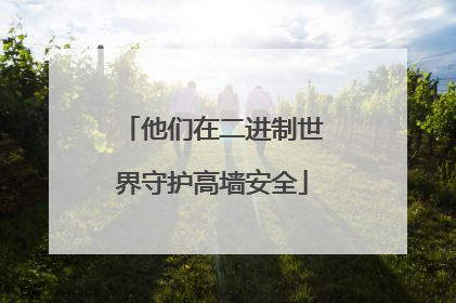 他们在二进制世界守护高墙安全