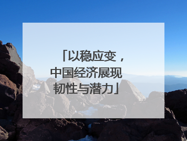 以稳应变，中国经济展现韧性与潜力
