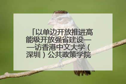 以单边开放推进高能级开放强省建设——访香港中文大学（深圳）公共政策学院院长郑永年