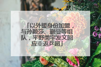 以外援身份加盟，与孙颖莎、蒯曼等组队，平野美宇发文回应重返乒超