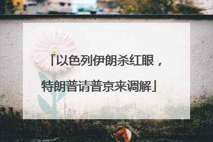 以色列伊朗杀红眼，特朗普请普京来调解