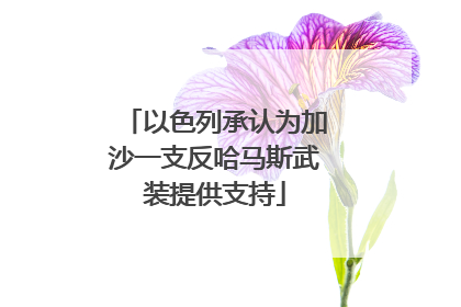 以色列承认为加沙一支反哈马斯武装提供支持