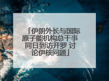 伊朗外长与国际原子能机构总干事同日到访开罗 讨论伊核问题
