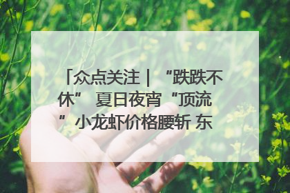 众点关注｜“跌跌不休” 夏日夜宵“顶流”小龙虾价格腰斩 东营人的快乐来了