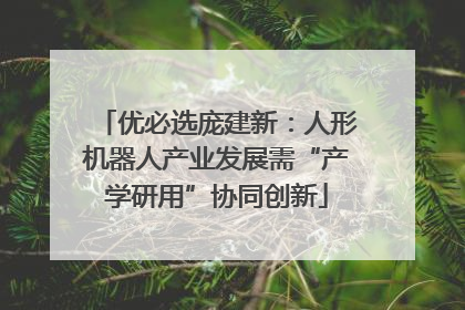 优必选庞建新：人形机器人产业发展需“产学研用”协同创新