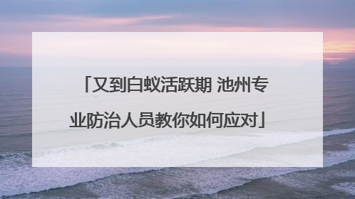 又到白蚁活跃期 池州专业防治人员教你如何应对