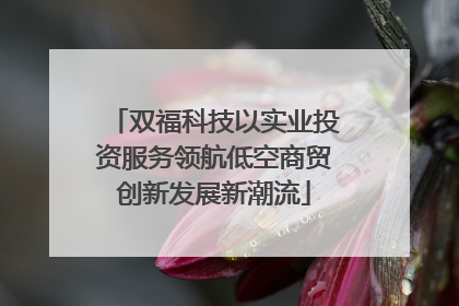 双福科技以实业投资服务领航低空商贸创新发展新潮流