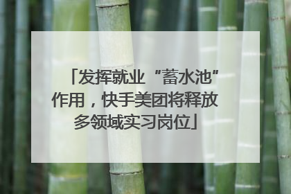 发挥就业“蓄水池”作用，快手美团将释放多领域实习岗位
