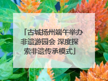 古城扬州端午举办非遗游园会 深度探索非遗传承模式