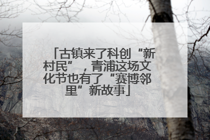 古镇来了科创“新村民”，青浦这场文化节也有了“赛博邻里”新故事