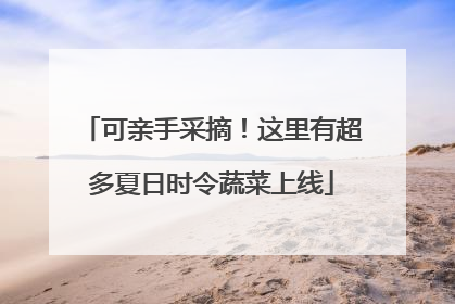 可亲手采摘！这里有超多夏日时令蔬菜上线