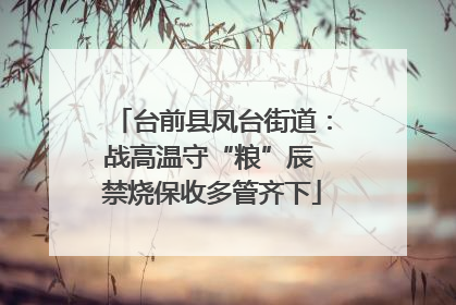 台前县凤台街道：战高温守“粮”辰 禁烧保收多管齐下