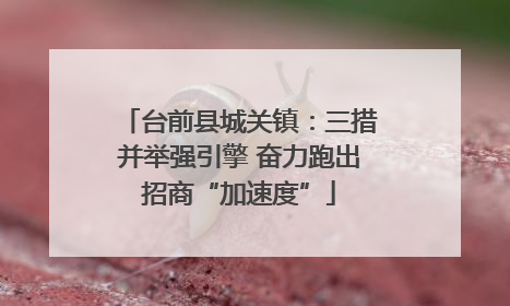 台前县城关镇：三措并举强引擎 奋力跑出招商“加速度”