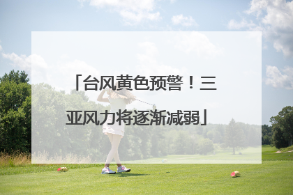台风黄色预警！三亚风力将逐渐减弱