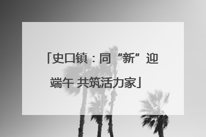 史口镇：同“新”迎端午 共筑活力家