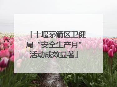 十堰茅箭区卫健局“安全生产月”活动成效显著