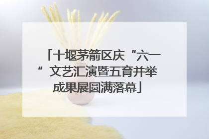 十堰茅箭区庆“六一”文艺汇演暨五育并举成果展圆满落幕