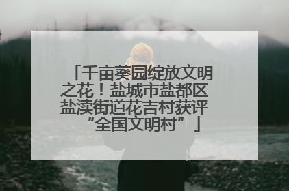 千亩葵园绽放文明之花！盐城市盐都区盐渎街道花吉村获评“全国文明村”