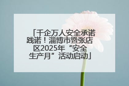 千企万人安全承诺践诺！淄博市暨张店区2025年“安全生产月”活动启动