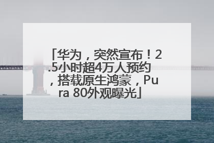华为，突然宣布！2.5小时超4万人预约，搭载原生鸿蒙，Pura 80外观曝光