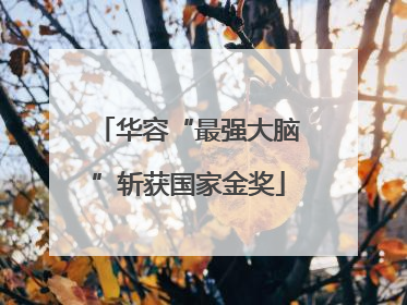 华容“最强大脑”斩获国家金奖