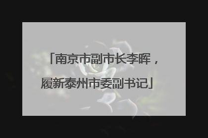 南京市副市长李晖，履新泰州市委副书记