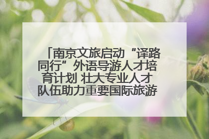 南京文旅启动“译路同行”外语导游人才培育计划 壮大专业人才队伍助力重要国际旅游目的地建设