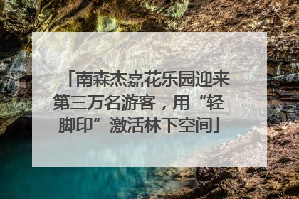 南森杰嘉花乐园迎来第三万名游客，用“轻脚印”激活林下空间