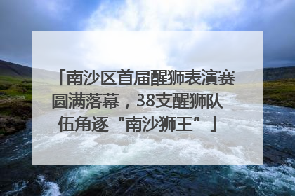 南沙区首届醒狮表演赛圆满落幕，38支醒狮队伍角逐“南沙狮王”