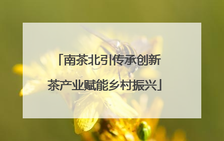 南茶北引传承创新 茶产业赋能乡村振兴