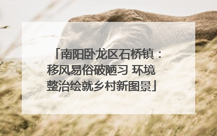 南阳卧龙区石桥镇：移风易俗破陋习 环境整治绘就乡村新图景