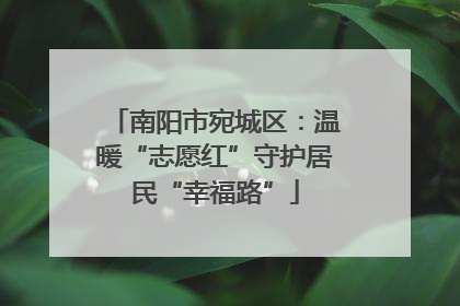 南阳市宛城区：温暖“志愿红”守护居民“幸福路”