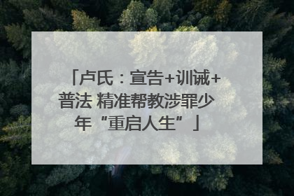卢氏：宣告+训诫+普法 精准帮教涉罪少年“重启人生”