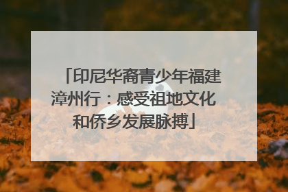 印尼华裔青少年福建漳州行：感受祖地文化和侨乡发展脉搏
