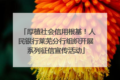 厚植社会信用根基！人民银行莱芜分行组织开展系列征信宣传活动