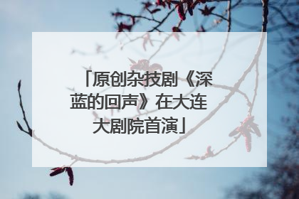 原创杂技剧《深蓝的回声》在大连大剧院首演