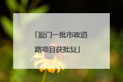 厦门一批市政道路项目获批复