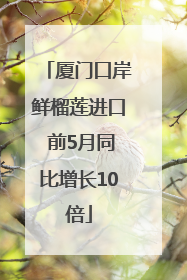 厦门口岸鲜榴莲进口 前5月同比增长10倍