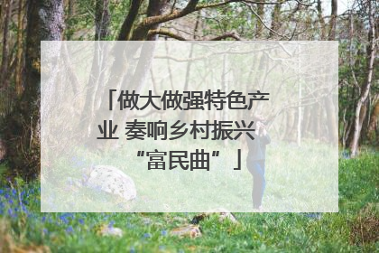 做大做强特色产业 奏响乡村振兴“富民曲”