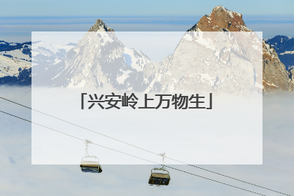 兴安岭上万物生