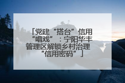 党建“搭台”信用“唱戏”：宁阳华丰管理区解锁乡村治理“信用密码”