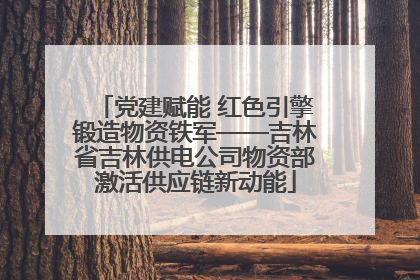 党建赋能 红色引擎锻造物资铁军——吉林省吉林供电公司物资部激活供应链新动能