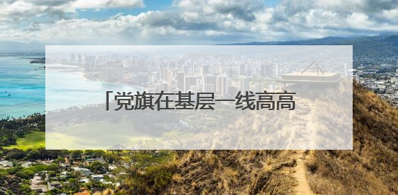 党旗在基层一线高高飘扬丨石家庄海关：打造“有呼必应 有困必解”关企互动新生态