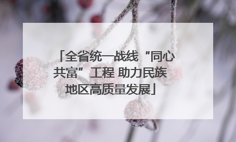 全省统一战线“同心共富”工程 助力民族地区高质量发展
