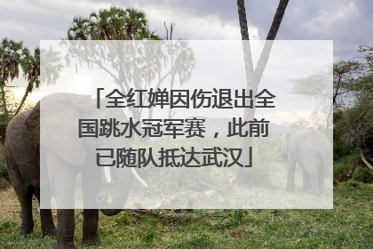 全红婵因伤退出全国跳水冠军赛，此前已随队抵达武汉