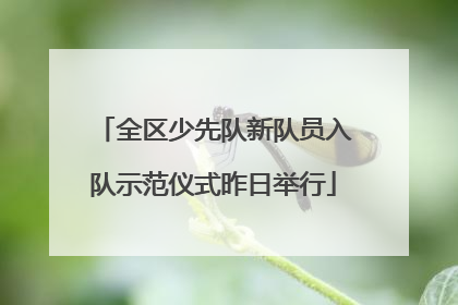 全区少先队新队员入队示范仪式昨日举行