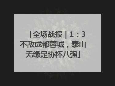 全场战报｜1：3不敌成都蓉城，泰山无缘足协杯八强